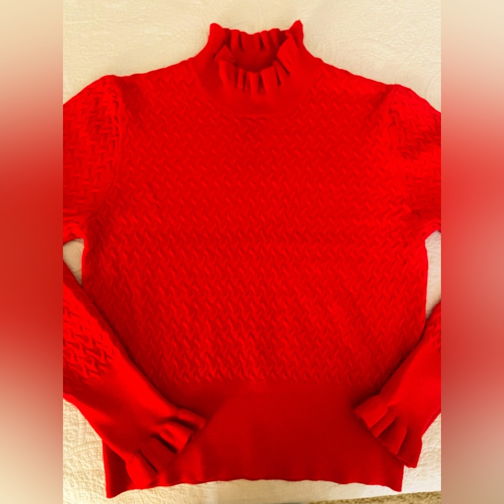 Gorgeous red sweater with ruffle neck and sleeves detail. New without tags.